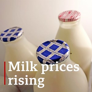 7.9K views · 80 reactions | Have you noticed your milk has become more expensive?拏 That's because the big supermarkets have put up prices over the last week as the cost pressures on dairy farmers reaches the shelves  | BBC Breakfast | Facebook
