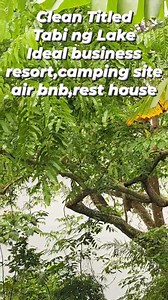 Farm Lot for sale Clean Titled 1.5 hectares asking 1500/sqm Location San Pablo City Laguna #kafarmlandtv #farmlotforsale #CleanTitle #lakeview #lake #campingsite #airbnb #resthouse #SanPabloLaguna | Ka Farmland Tv