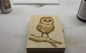 21K views · 422 reactions | Baby owl on wood canvas by Paint With Gunpowder | Art Collective | Facebook