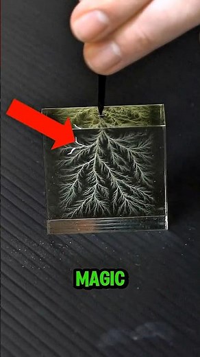 The Coolest Science Experiment Ever?