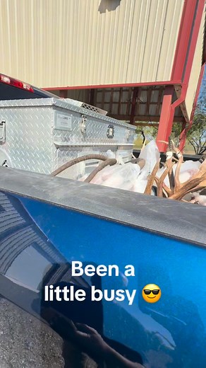 Banner week 😎😎 #cougarredranchtx #whitetail #whitetaildeer #trophywhitetail #trophydeerhunter #trophydeerhunting #trophydeer #therut #deer #hunt #hunting #deerhunter #bigdeer #monsterbucks #ilikebigdeer #bigbucks #fyp #buckfight #southtexasranch #southtexasdeer #southtexaswhitetail #whitetaildeerhunter #huntress #bowhunter #bowhunting #whitetaildeerhunting #reels | Cougar Red Ranch