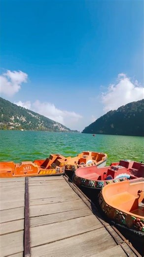 #shortsfeed #nature #minivlog 🌏