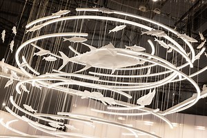 BAADER SHOWCASES CUTTING-EDGE FISH PROCESSING SOLUTIONS AT NOR-FISHING 2024