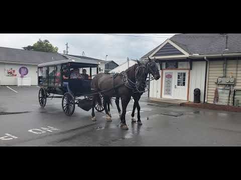 Buggy rides Lancaster PA Amish country September 2025