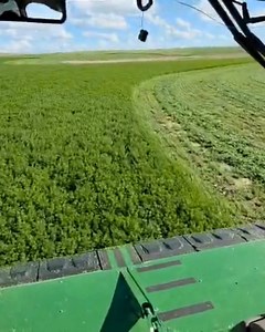 Monette Farms on Reels