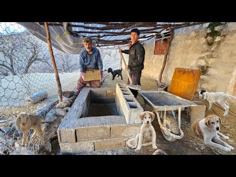 Primitive Nomadic Goat Care | Washing and Protecting Goats Naturally
