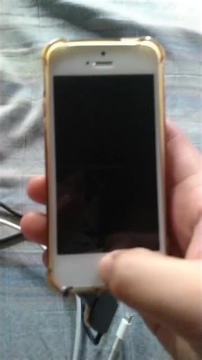 Exploring the Mysterious World of Siri