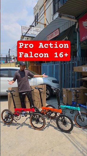 Pro Action action falcon folding bike