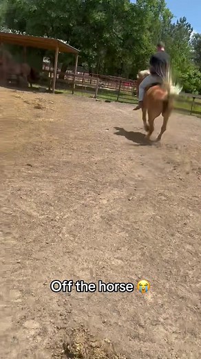 He was done with the ride 🤣 (🎥:Whit_lavalle/ig) | Horse TikTok
