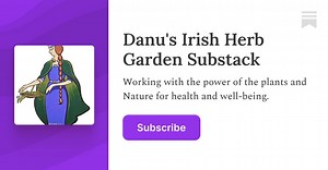 First Harvest at Lughnasadh