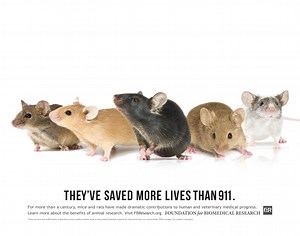 Animal Research To Improve Lives