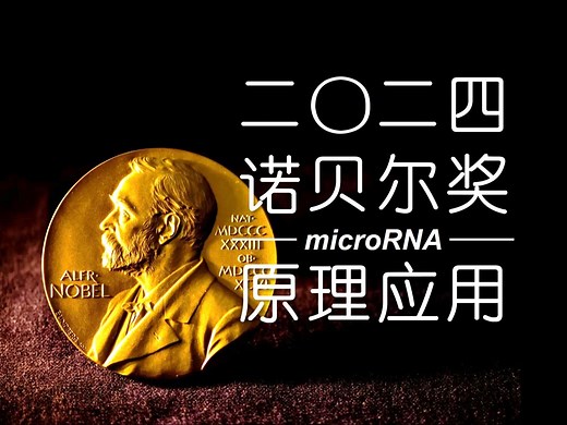 【新知特辑】2024诺贝尔生理学或医学奖：microRNA 原理与应用