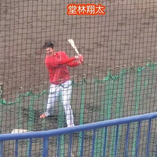 20260320 ﾌﾟﾘﾝｽが黙々とﾊﾞｯﾄ振る！#堂林翔太 試合前の打撃練習 #shorts@杉本商事ﾊﾞﾌｧﾛｰｽﾞｽﾀｼﾞｱﾑ舞洲［ﾌｧｰﾑ･ﾘｰｸﾞ 西地区 2軍戦］杉本商事BS
