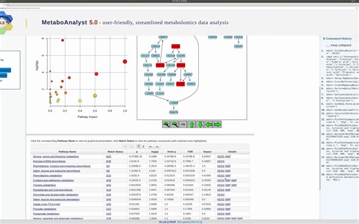 MetaboAnalyst 5.0 - Pathway Analysis