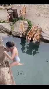 #viralpost2024 #viewers #fypviralシ #adsonreels2024 | Angel Locsin