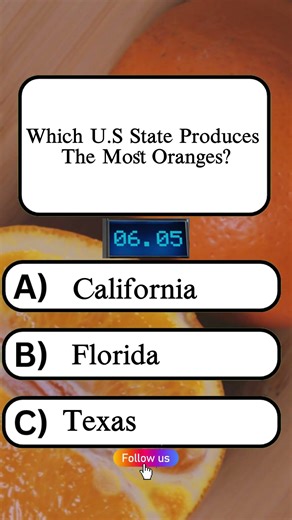 Which U.S State Produces the Most Oranges? #usaquiz #unitedstatesofamerica #unitedstates #Shorts