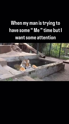 5.8K views · 168 reactions | Women really like to play, but when it’s time to play It’s nah i was just playing just wanted to see What you were going to do nahh let’s play #fyp #explore #viralpost #exploremore #foryoupage #fypシ #WeOutsideGoofy #ComedyIsPain | Delshawn Reid | Facebook