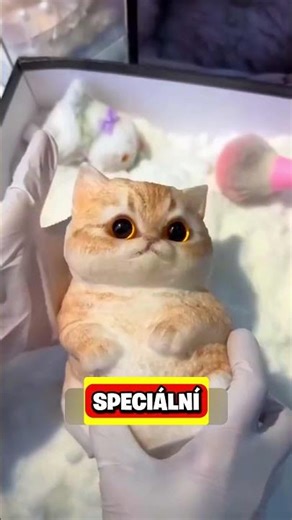 NEČEKANÉ VĚCI!😱 #shorts #fakta #zajimavosti