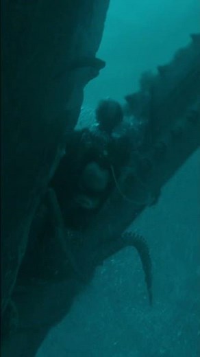 The odds of being swallowed alive by a whale are not zero.
