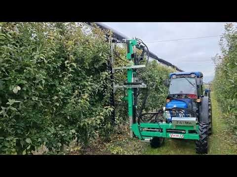 Cimatrice per Frutteto Mod. CKP