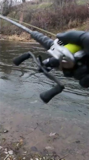 Spring Steelhead, Bobber Down! #piscifun #troutfishing