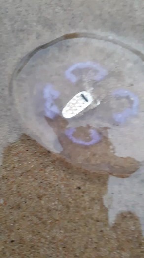 World's smallest phone