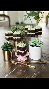 54K views · 369 reactions | Pistachio Mousse Mini Cakes!  Easiest recipe for this mousse: 2 cups heavy whipping cream 1 pkg vanilla pudding (instant) 1 Tablespoon Amoretti Natural Pistachio Butter Artisan Flavor Whip cream and pudding until thick and creamy. Stir in Amoretti Natural Pistachio Butter Artisan Flavor Makes a great filling for cakes, donuts, cookies, etc. Keep refrigerated up to a week. | Neurotic Mom | Facebook