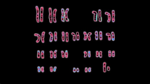 There Really Is No Clean Definition Of Biological Sex – And That's OK