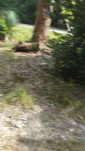 11K views · 106 reactions | Lord help Me the devil is here  | Rhonda Dunn | Facebook