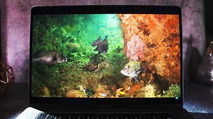 Apple may be using mini LEDs in its devices next year