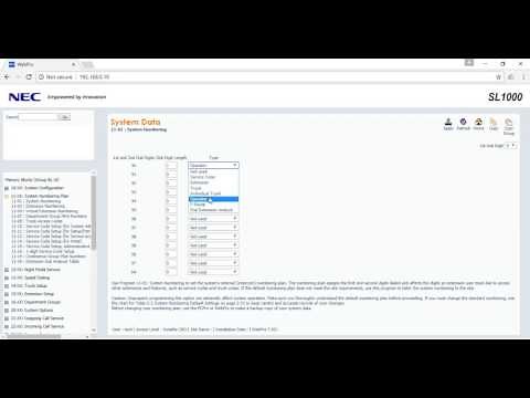 Nec SL1000 Basic Configuration with pbx inter connection via vpn-3