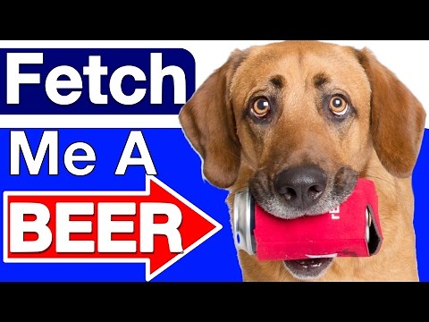 How to Teach your Dog to Fetch a Beer!