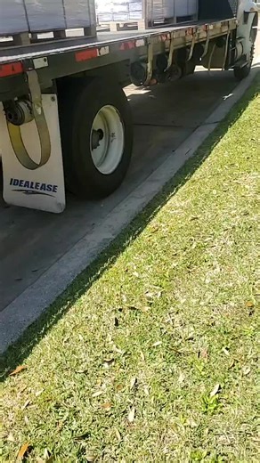 aver si me ayuda Mickey Mouse a descargar madera 🤣🤣