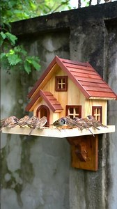 🥰🏡 A Beautiful Little Home for Happy Birds! #birds #cute #nature