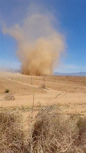 🚨NEW VIDEO🚨: A large dust devil was spotted moving along Route 66 and flinging debris in western Arizona on Friday, April 12. Credit: Brian Verhoeven via Storyful | WeatherBug