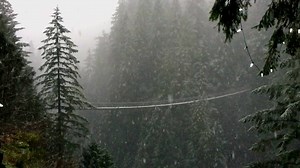 Due to current snow conditions, we are delaying our opening today until we can clear the pathways. We will update our Facebook and Twitter channels this afternoon as we continue to monitor the snowfall. | Capilano Suspension Bridge Park