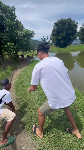 341K views · 7.2K reactions |  . . #brazil #engraçado #comedy #piadas #memes #comedia #chile #riograndedosul #love #humor #rir #risos #humornegro | boca de 09 | Facebook