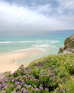 Oh yes... #UK @top fans Doc Martin | Doc Martin