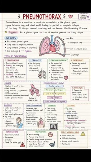 Pneumothorax Explained | Causes, Symptoms, Diagnosis & Treatment | Medical Education #medical