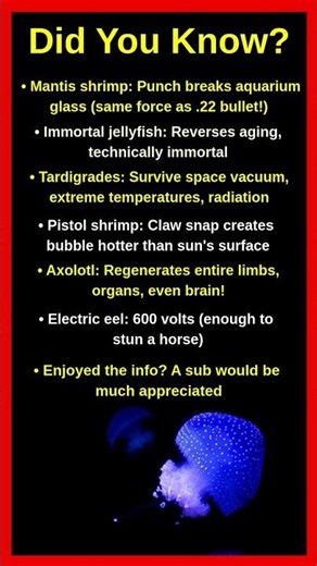 Animals With Actual Superpowers 🦸‍♂️🐾