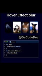 Hover Effect in CSS || SAVE FOR LATER 📲Boost your web dev skills🧑‍💻@de.code.dev Frontend development web development HTML CSS Javascript React Curvv ... #learntocode #webdevelopers ##developerlife #html #css #frontenddev #webdev #css3 #softwaredeveloper #html5 #angularjs #developer #coding #vscodes #htmlcss #frontend #website #css3 #webdeveloper #webdevelopment #htm15 #web #websites #app #apps #reactjs #programmers #typescript #programming | De.code.dev