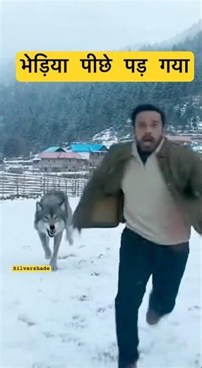 Wolf Chases Man Across Snow Field