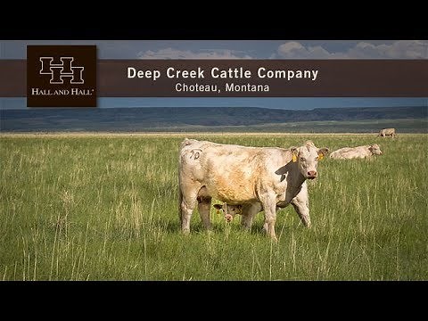 Deep Creek Cattle Company - Choteau, Montana
