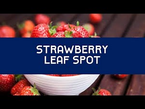 Diseases of Strawberry | Leaf Spot | Plant Disease Lecture Series