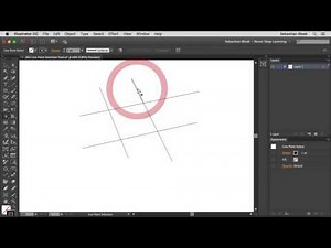 Adobe Illustrator "Live Paint Selection Tool" NSL WK 263