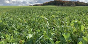 Defining the principles of regenerative agriculture