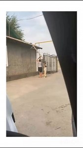 9.3K views · 3.7K reactions | The little rescuers ♥️ #love #cat #cats #meow #catlover #kitty #petcare #follower #loveislove #petlove | Cat Love | Facebook