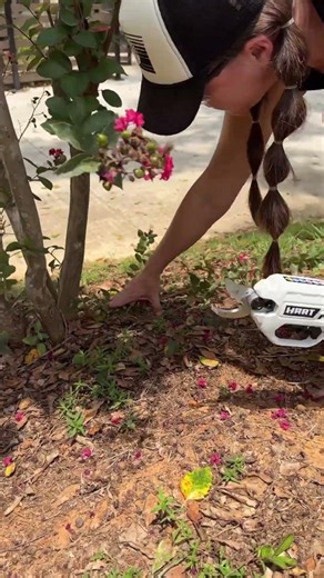 Trimming the suckers off my crepe myrtles #gardening #gardeningtips #gardeningideas