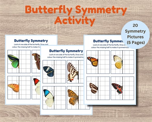 Butterfly Symmetry Worksheets | Draw the Missing Half Activity | Spring Printable Learning Worksheet | Preschool Kindergarten - Etsy