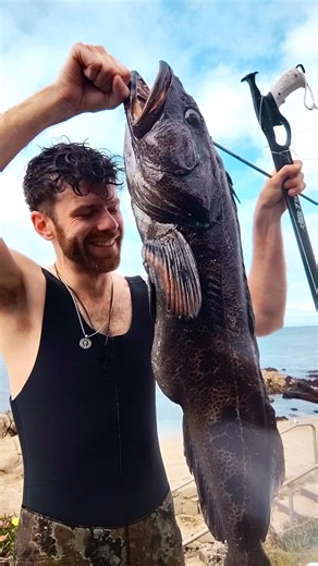 Spearfishing for MONSTER Lingcod (60 TACOS in one catch!)